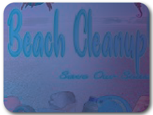 SOS Beach Clean Up